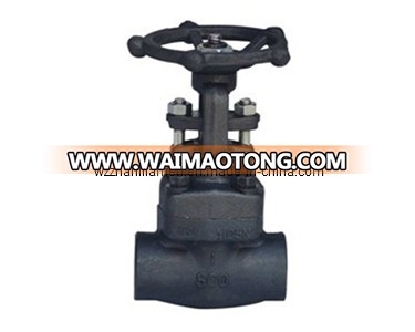 Forged Steel Globe Valve (SW, NPT)