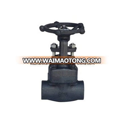 Forged Steel Globe Valve (SW, NPT)